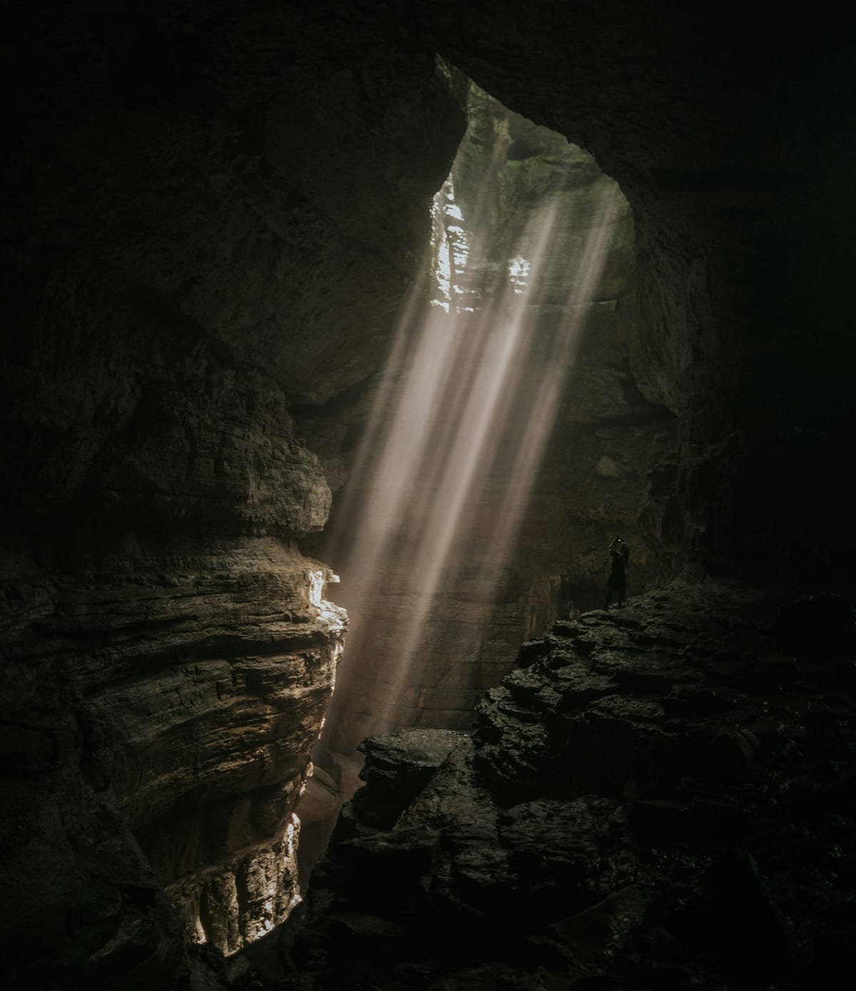 Freeflow #2: For the human condition