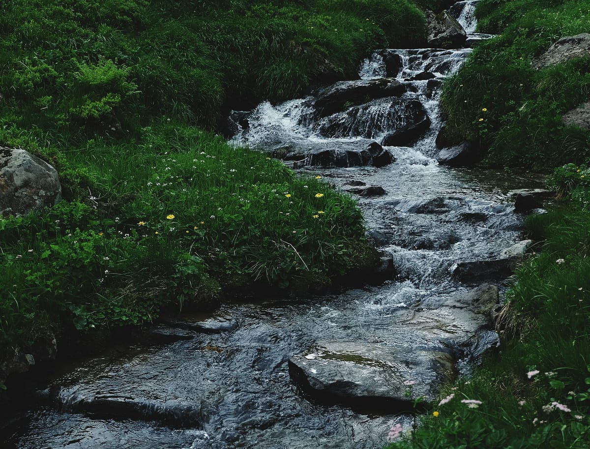 Freeflow #3: Discover purpose